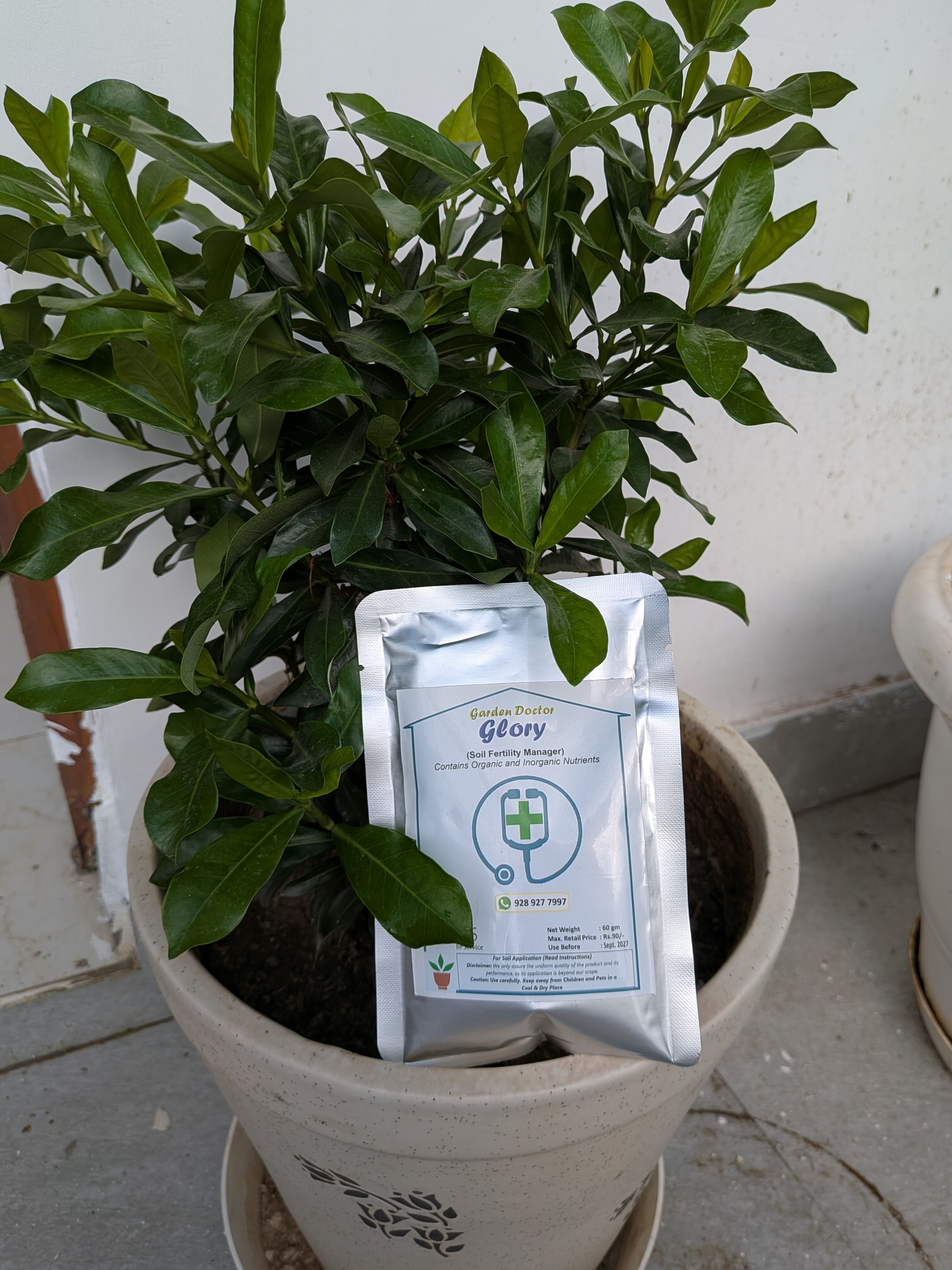 GLORY (60 gm) - Soil Fertility Manager (Pack of 2) Shipping free